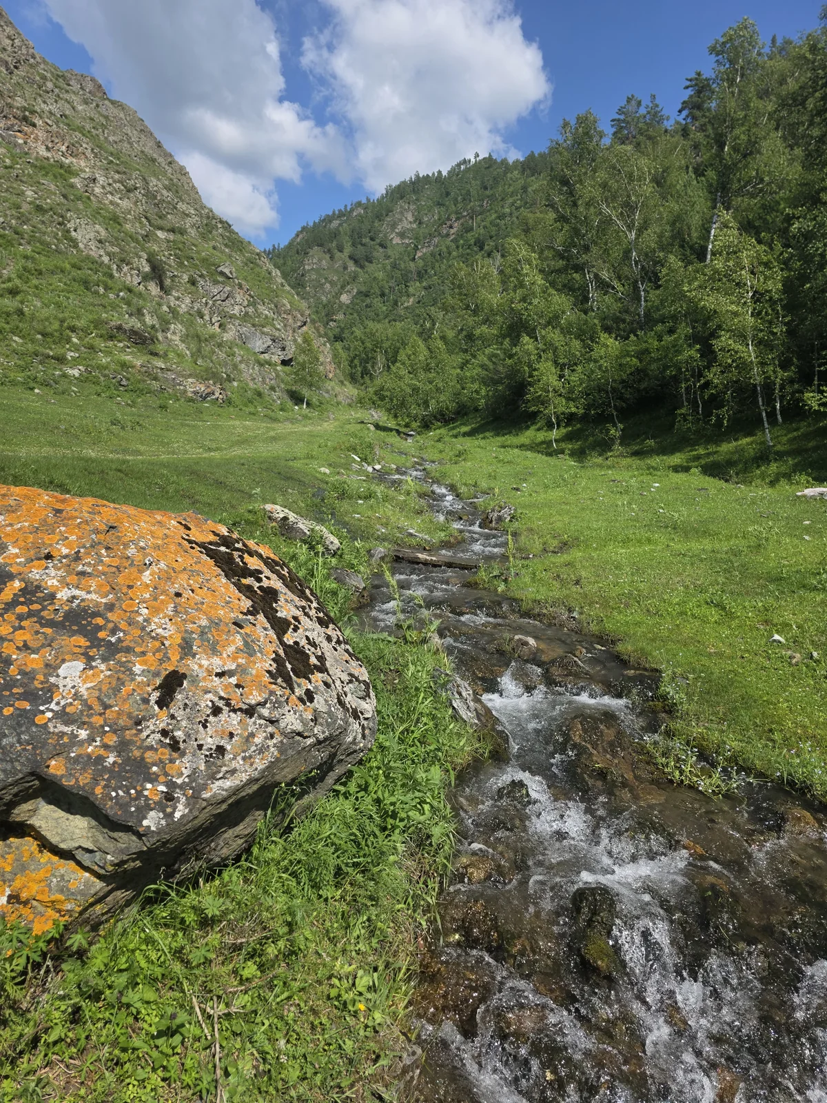 Горный ручей на территории Верх-Еландинского