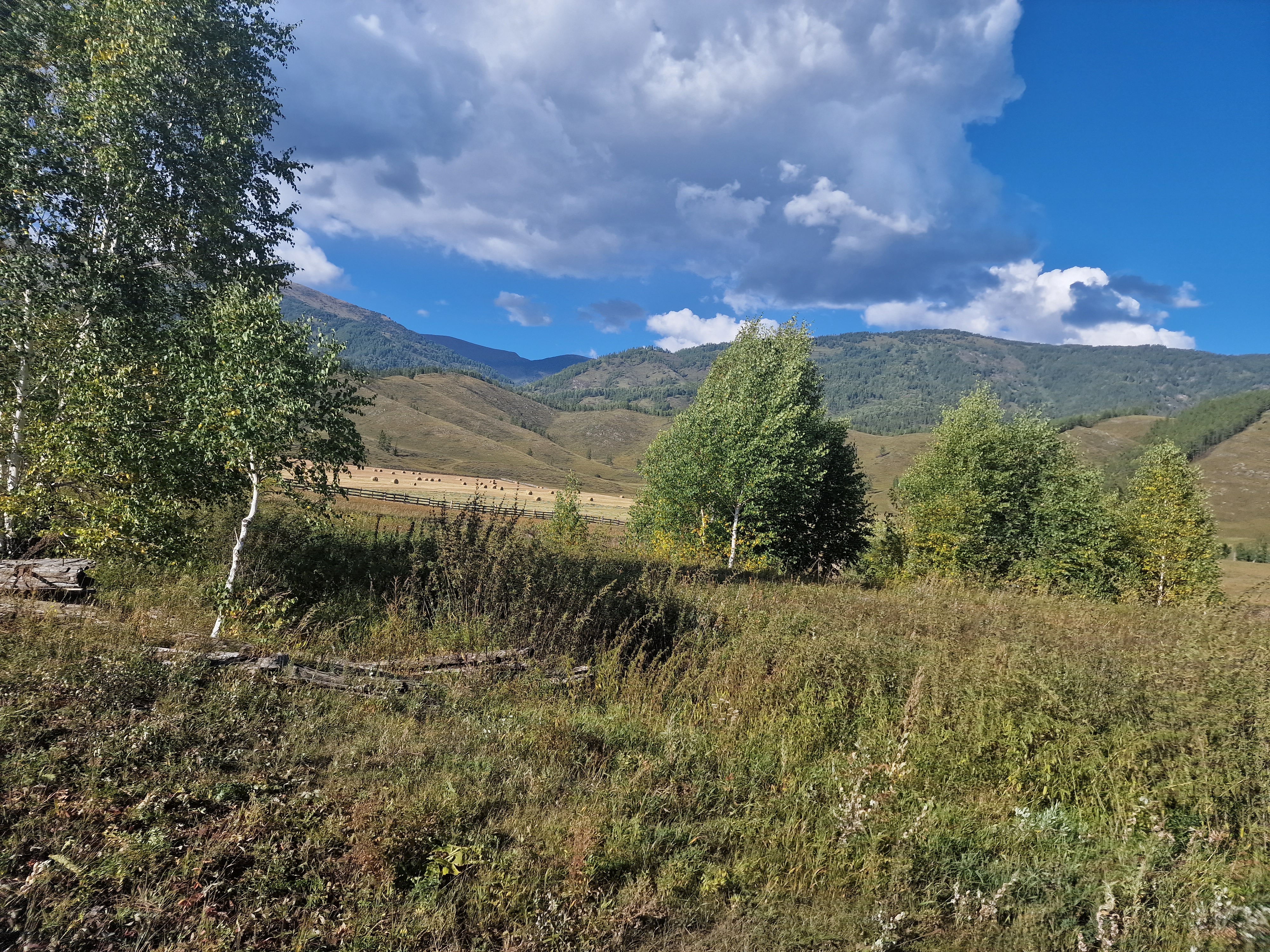 Buy the village of glampings "Dawn of Tungur" from Belukha land plots of the Altai Mountains