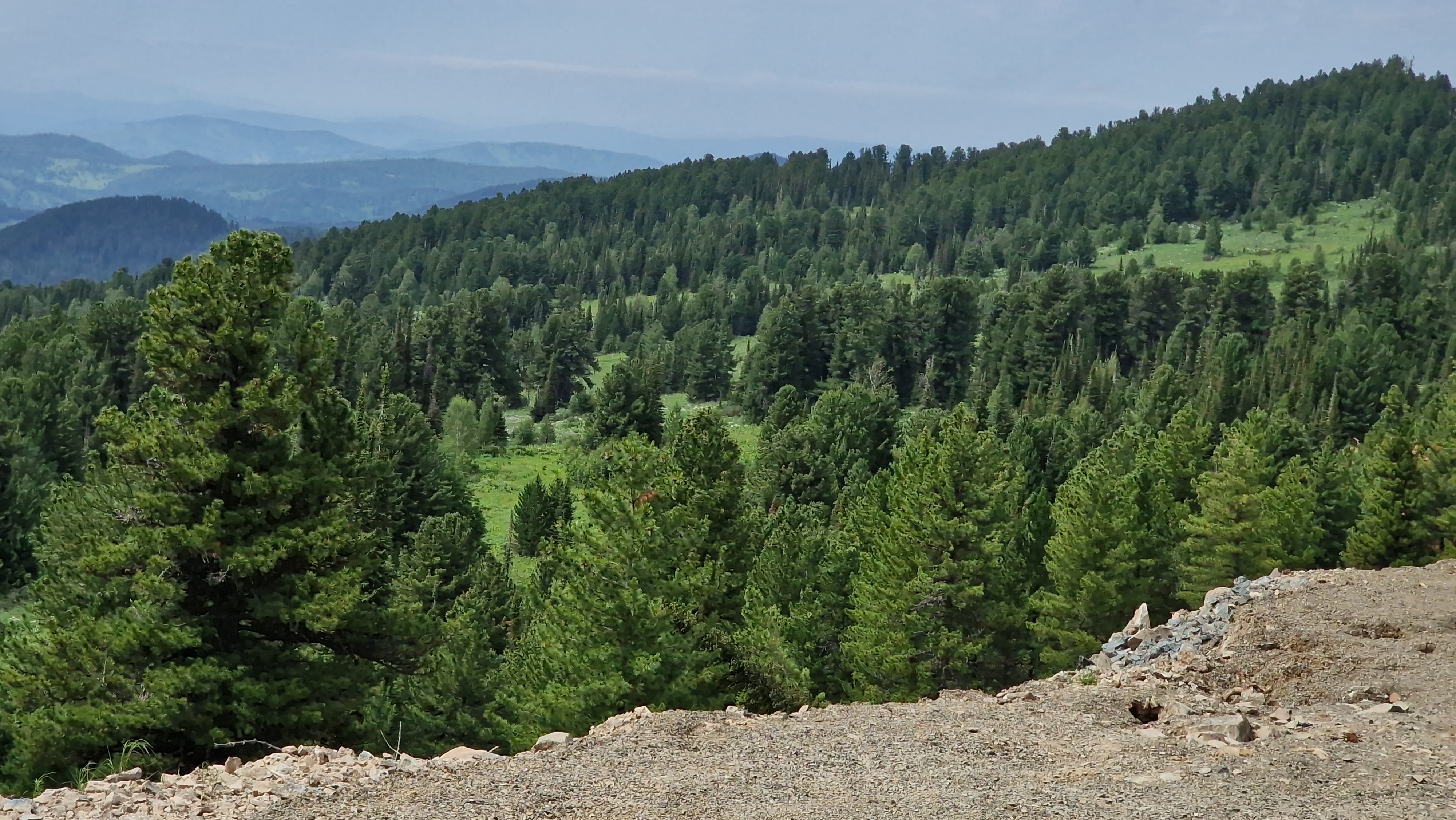 Buy New Mountain Resort Altai Land plots of Mountain Altai