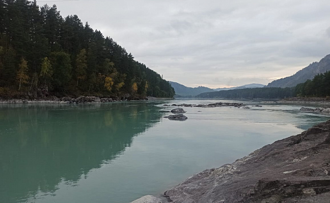 Купить Участок 16.54 соток (9-К8) земельные участки Горного Алтая