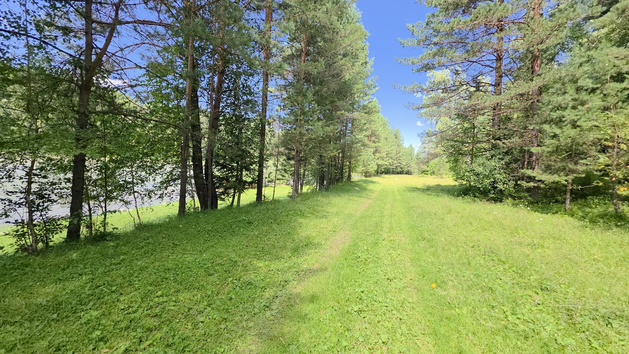 Купить Участок 6.26 соток (ИЖС 3/19 - Т) земельные участки Горного Алтая