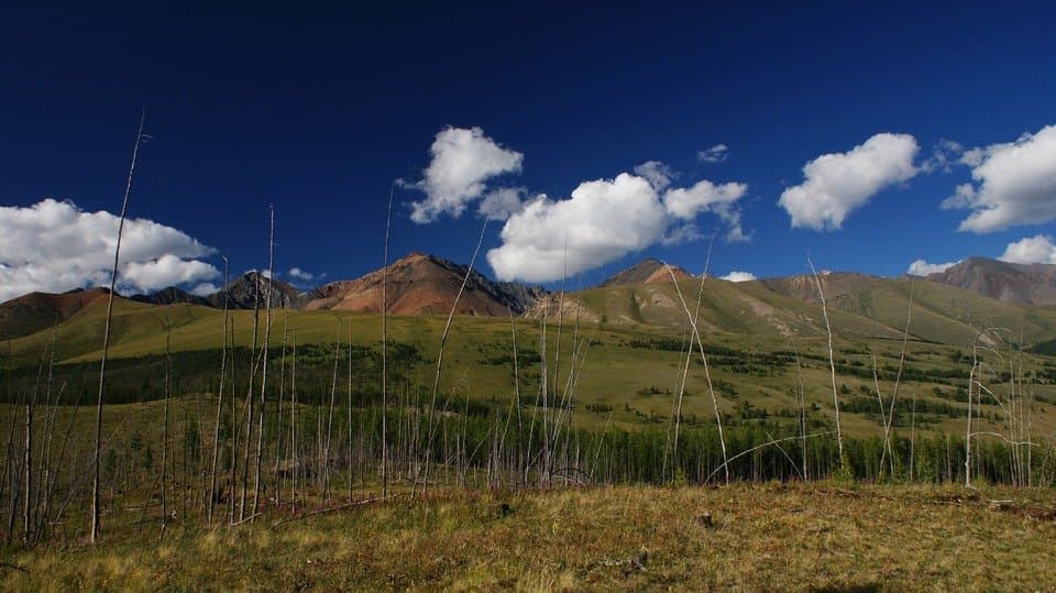 Купить Участок 22.22 соток (10-УЛР10) земельные участки Горного Алтая