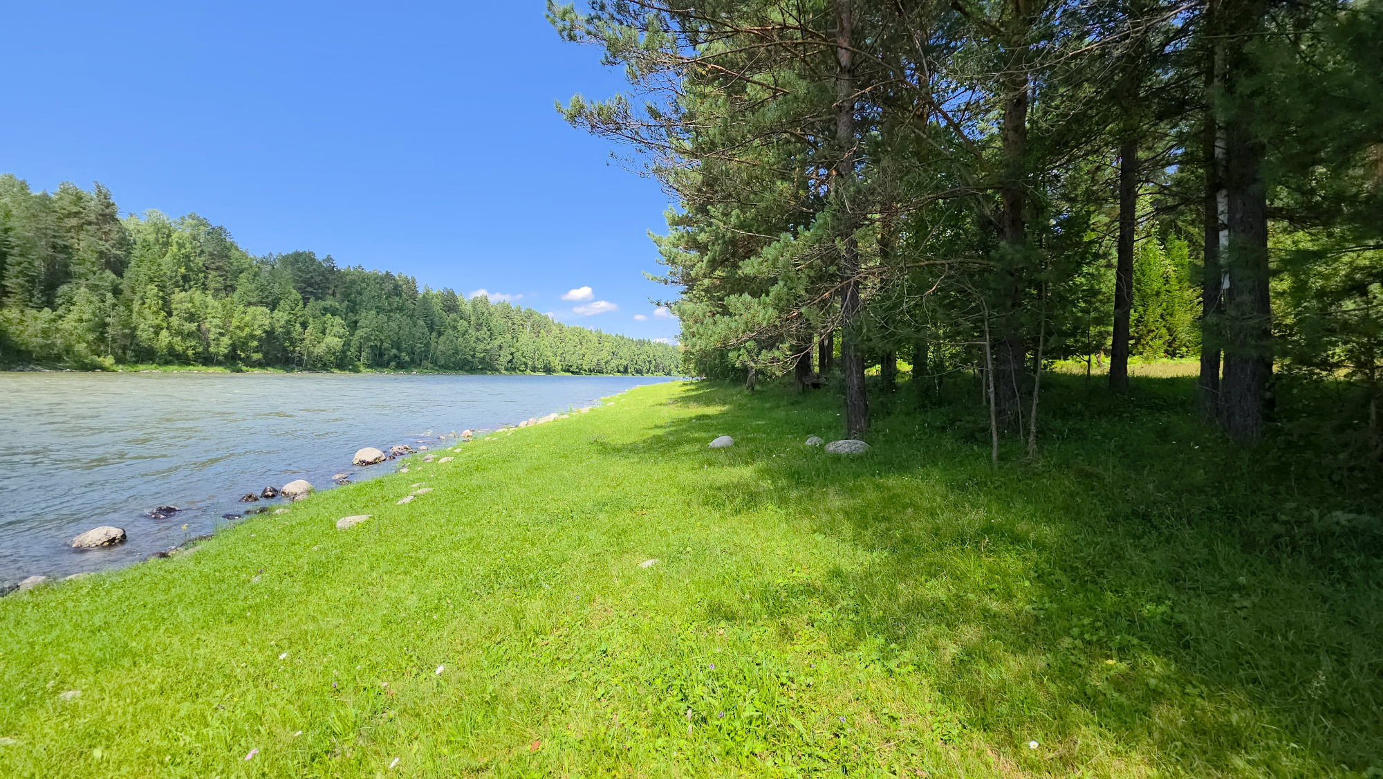 Купить Участок 22.36 соток (ИЖС 3/9 - Т) земельные участки Горного Алтая