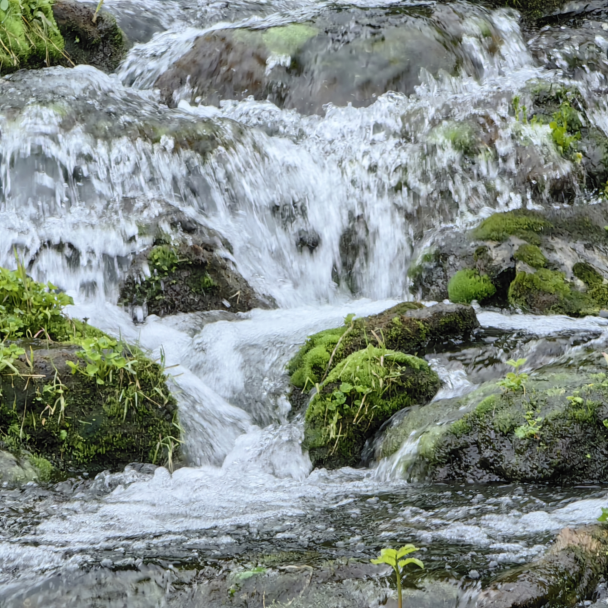 Купить Участок 34.15 соток (9-К7) земельные участки Горного Алтая