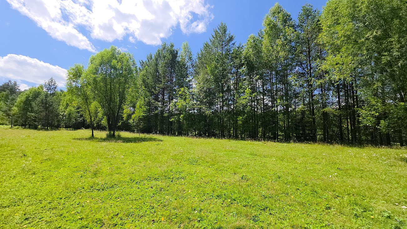 Участок 22.36 соток (ИЖС 3/9 - Т)