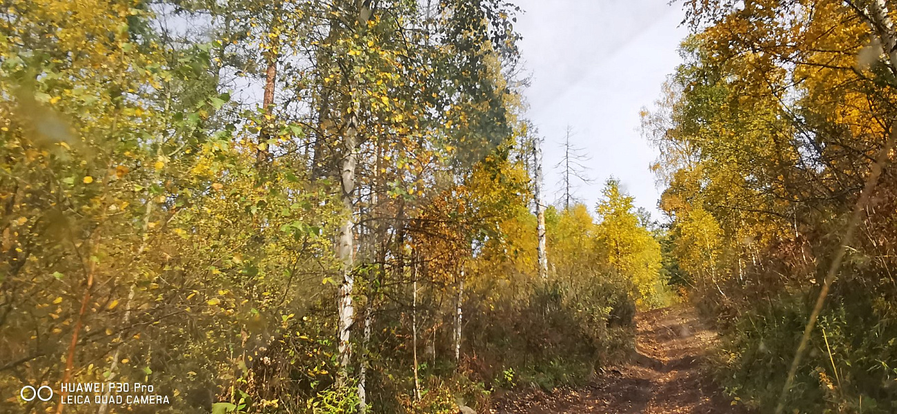 Кедровая заимка с видом на горы