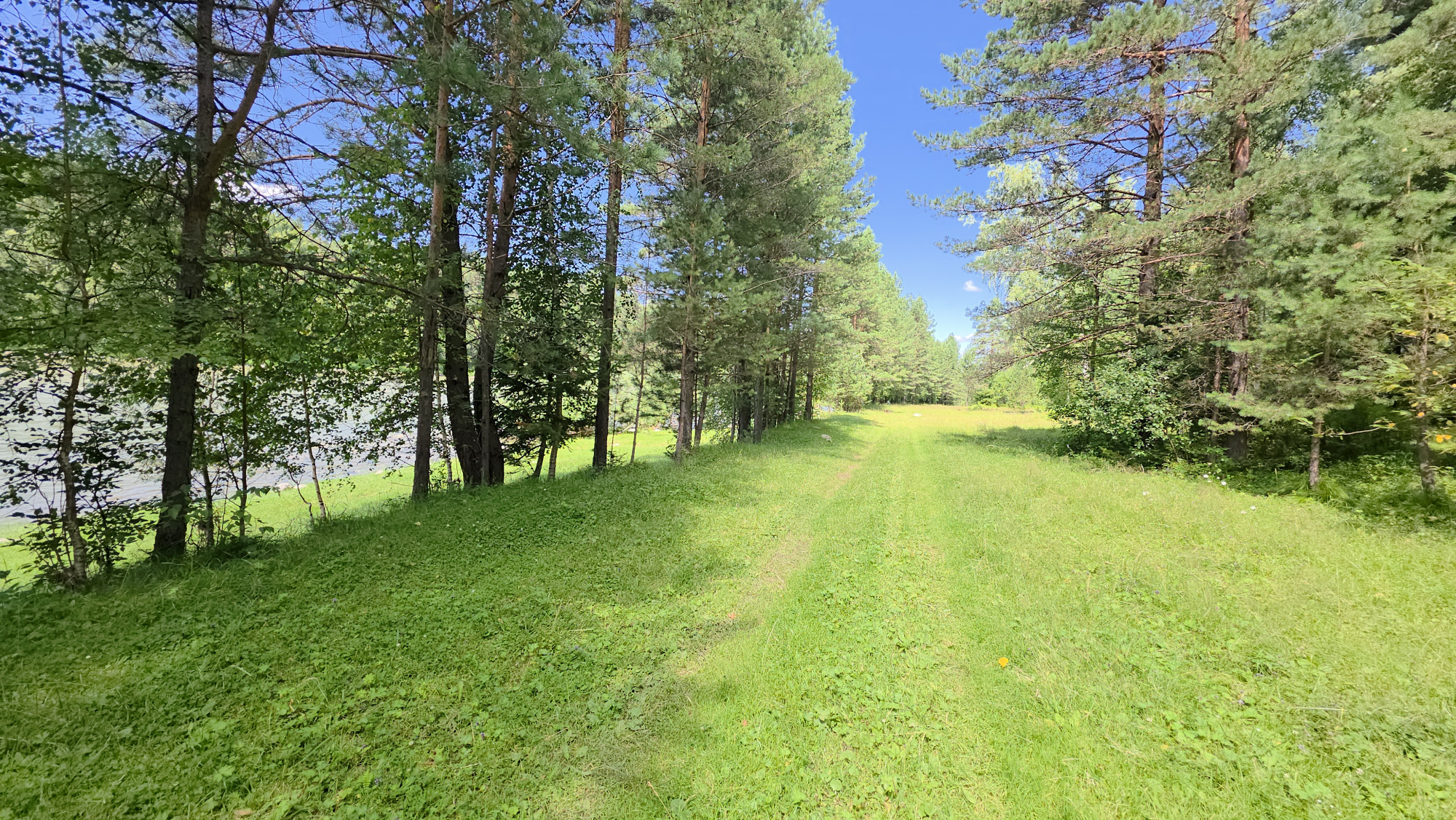 Купить Участок 12 соток (ИЖС 3/4 - Т) земельные участки Горного Алтая