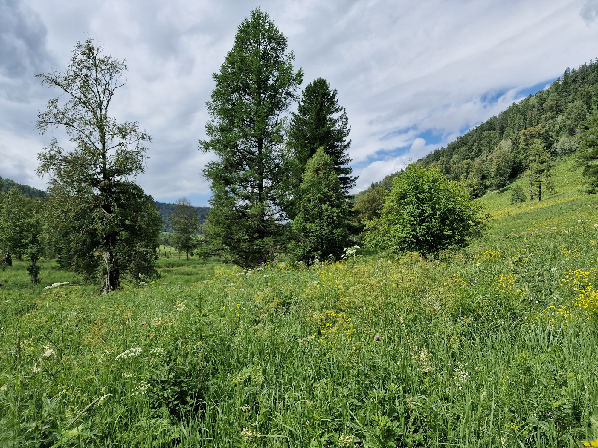 2022-07-01_11-10-09.JPG