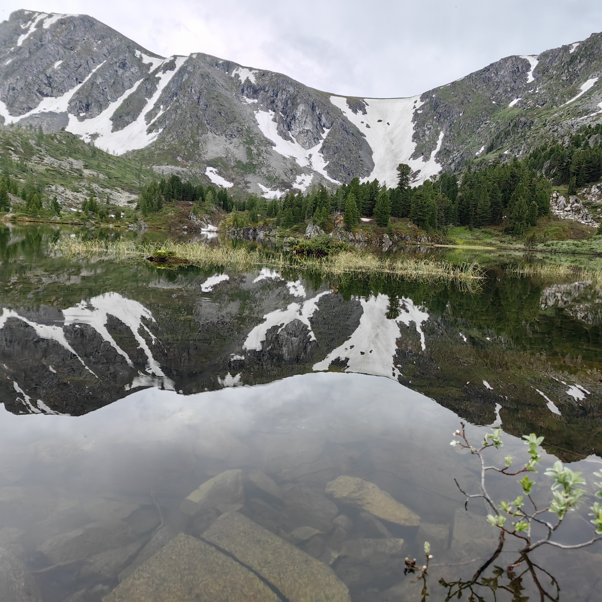 Купить Участок 12.68 соток (9-К9) земельные участки Горного Алтая