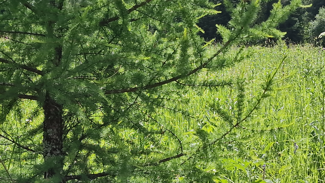 20220701_125407.jpg