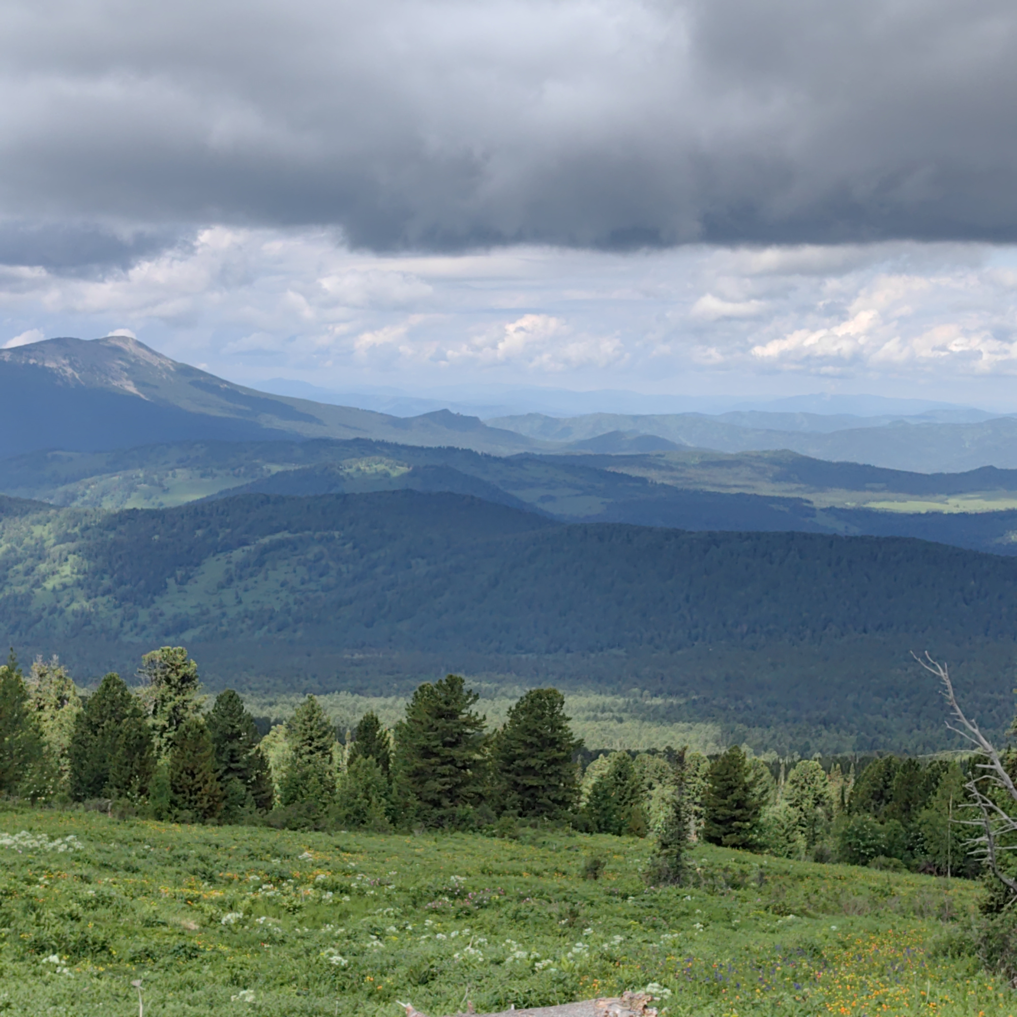 Купить Участок 25.92 соток (9-К3) земельные участки Горного Алтая