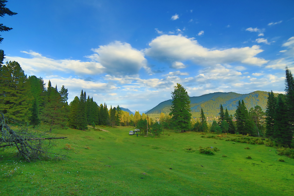 0P8A9877.JPG