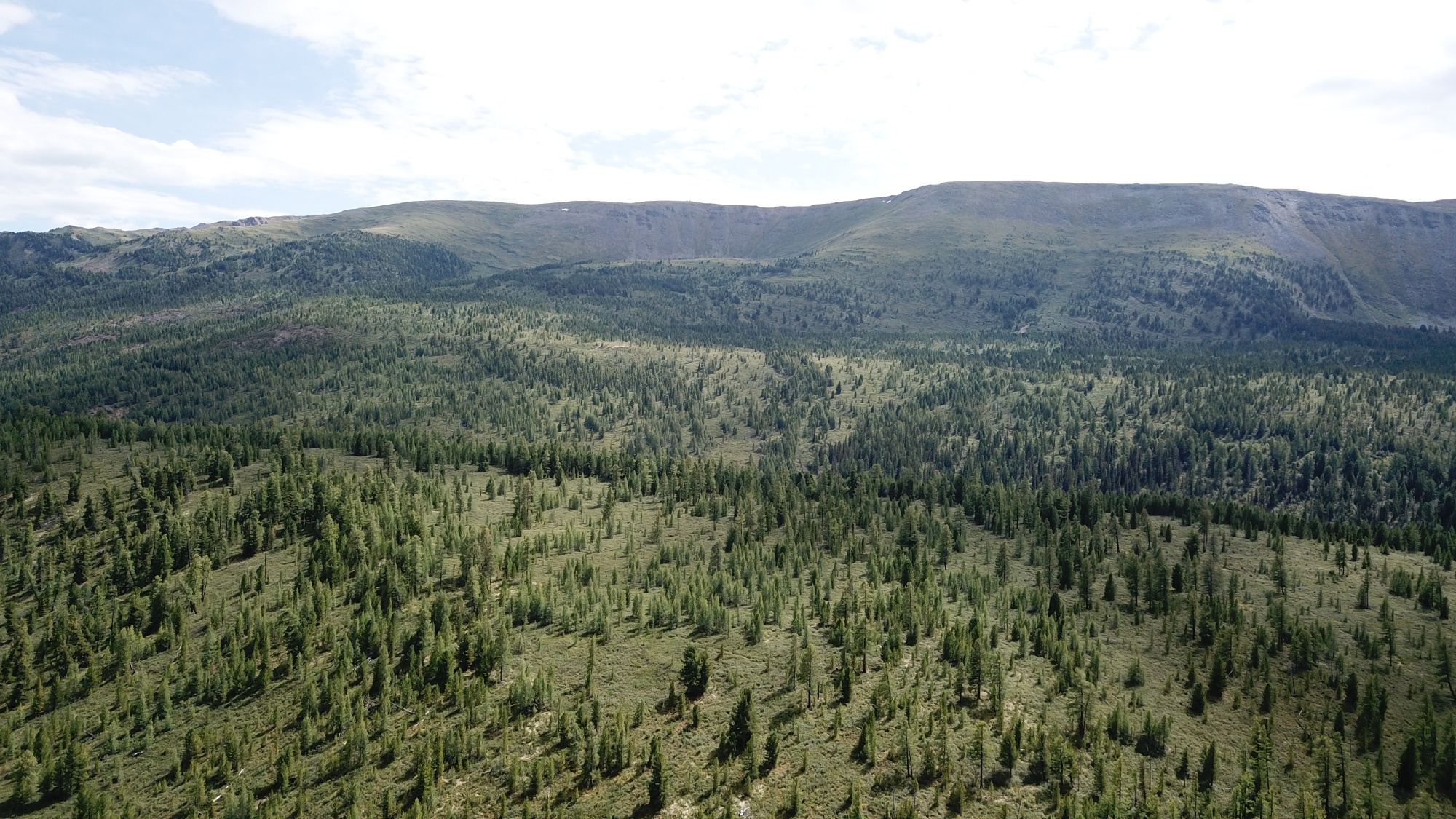 Buy Lake Territory - a resort city on the Ulagan plateau land plots of the Altai Mountains