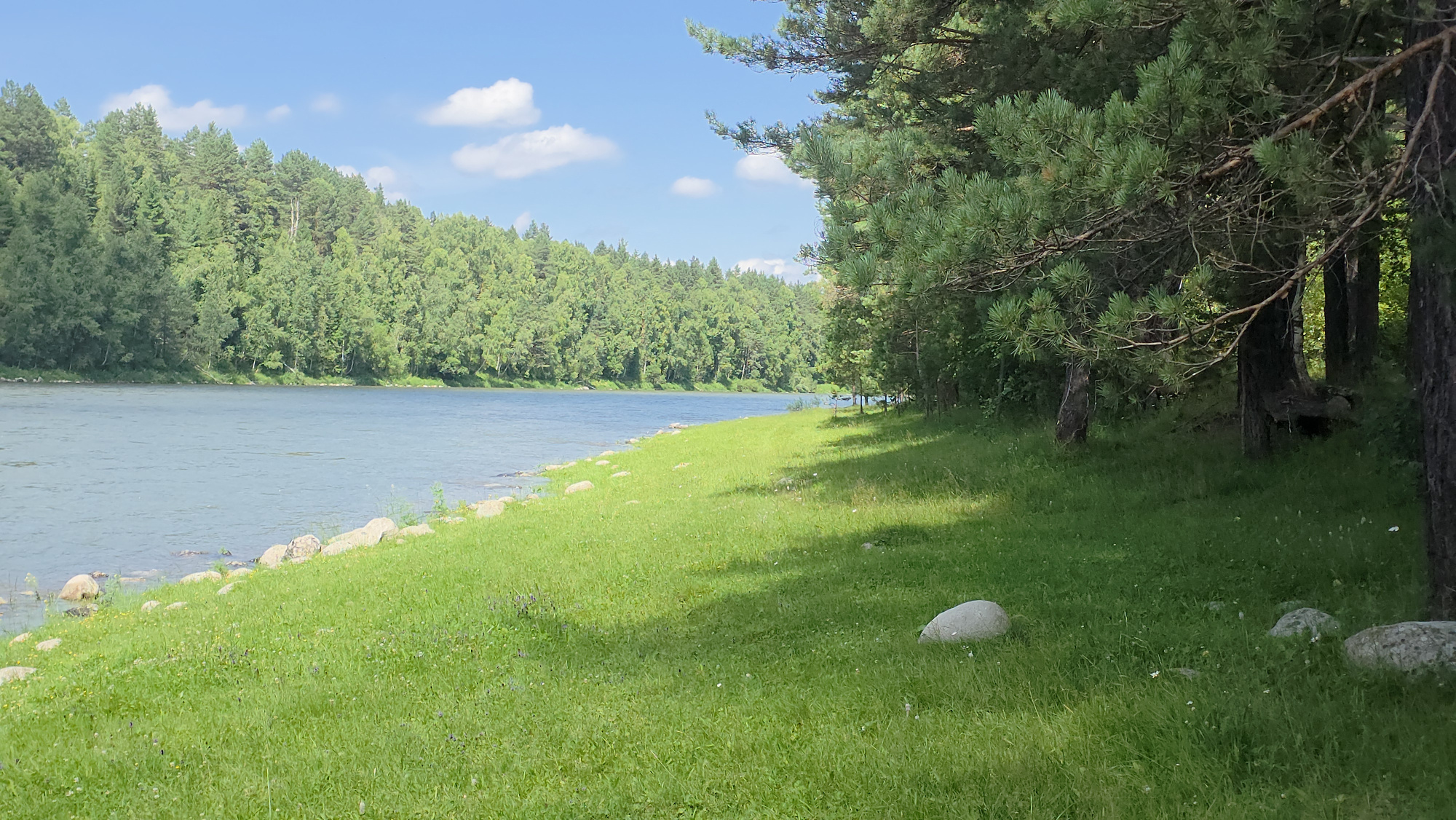 Купить Участок 17.89 соток (ИЖС 3/46 - Т) земельные участки Горного Алтая