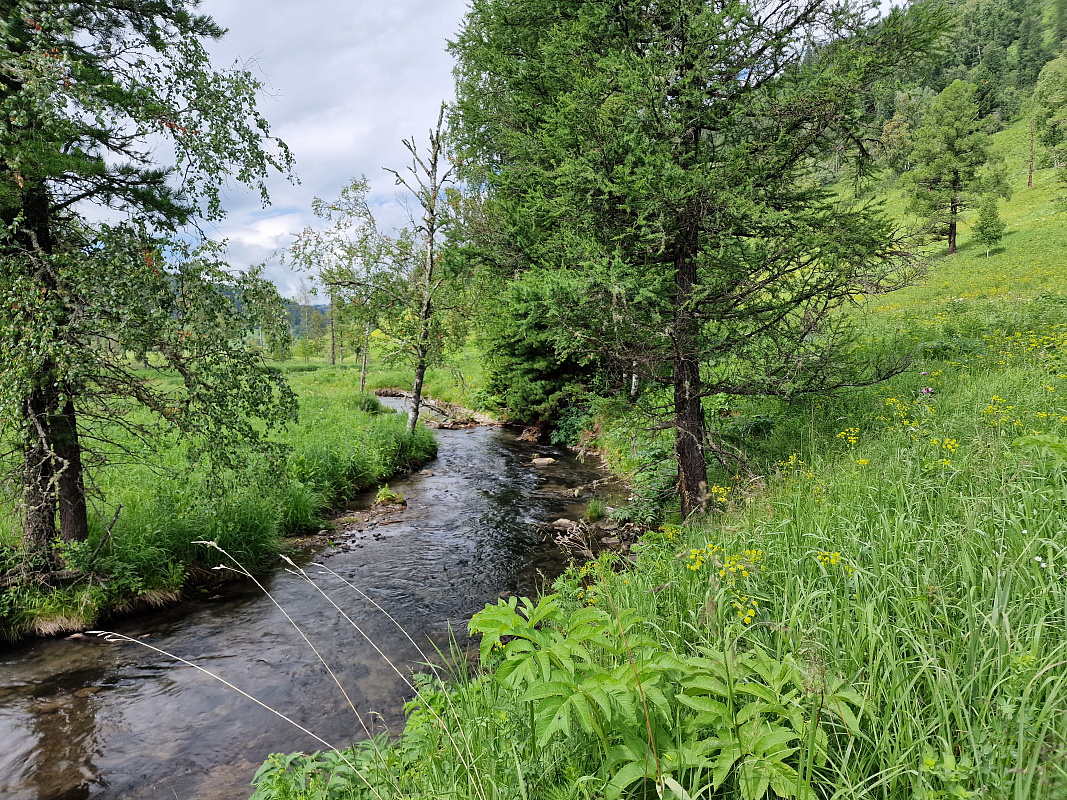 2022-07-01_11-10-39.JPG