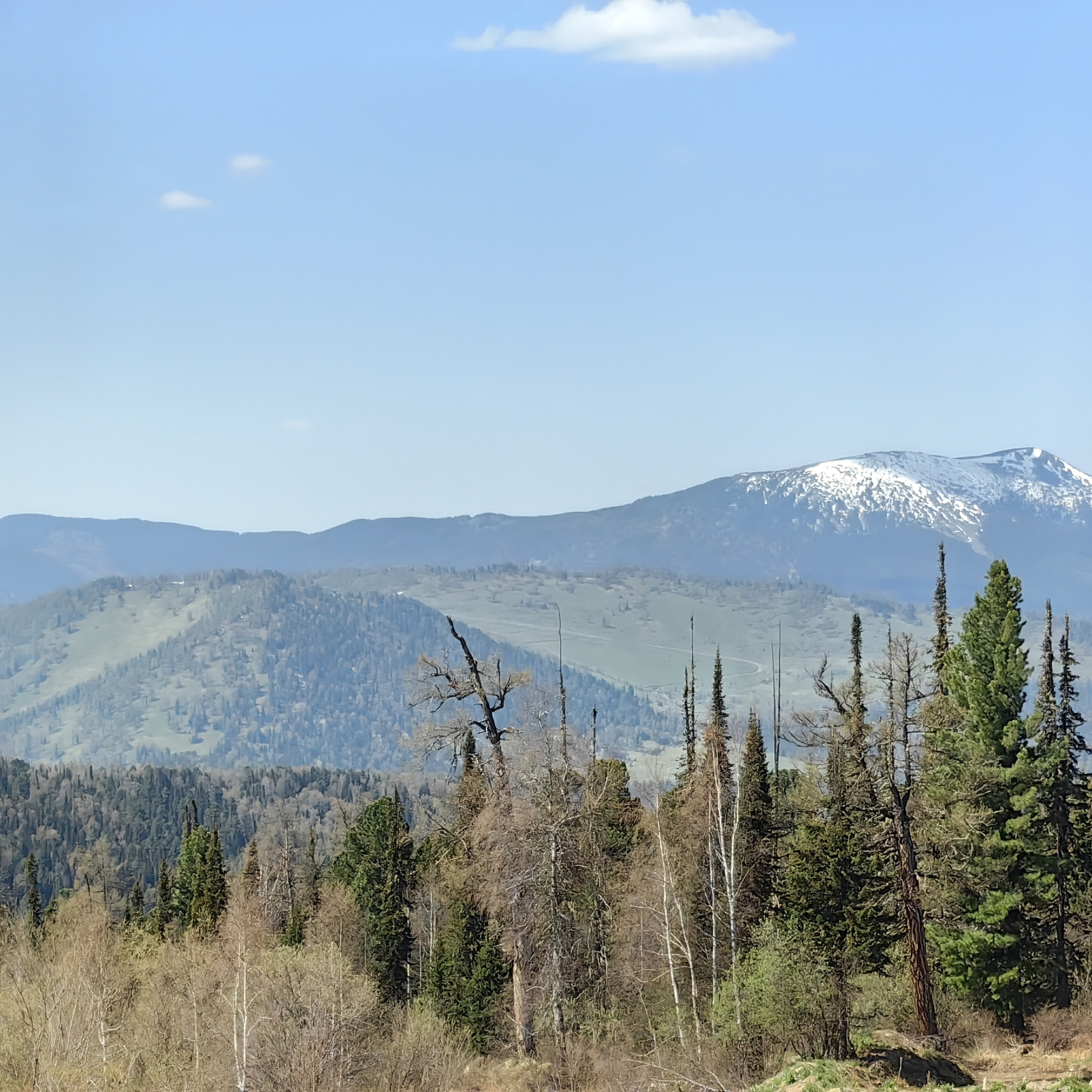 IMG_20230602_111730.jpg